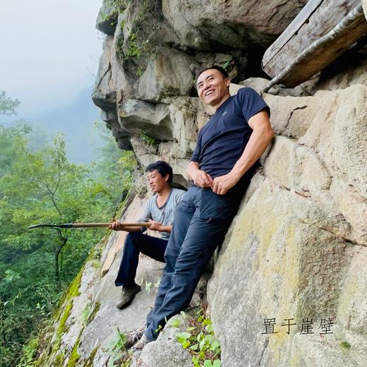 合作产品/秦岭古法木桶蜂蜜 商品图3