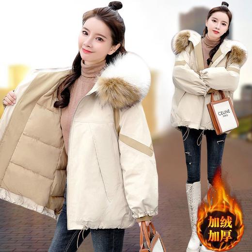 派克女短款大毛领，冬装新款韩版宽松ins袄加厚外套HR-9382567 商品图5