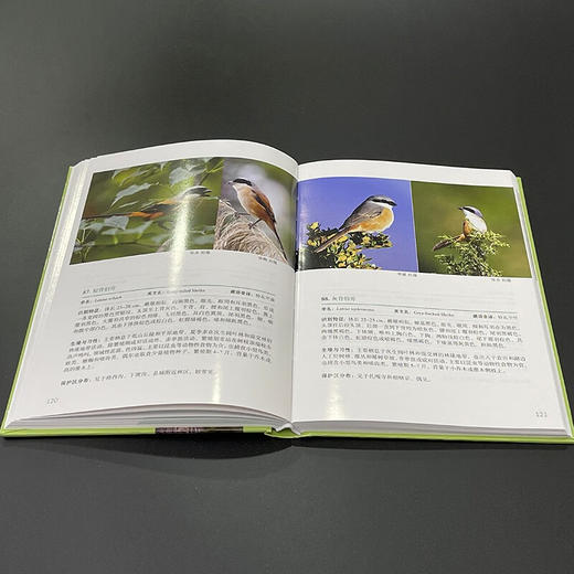 四川格西沟国家自然保护区常见鸟类识别手册 杨楠 刘娇 主编 商务印书馆 商品图4