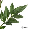 叶材 | 九星叶 商品缩略图5