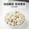 十月稻田 莲子 250g 湘潭去芯磨皮白莲子 干货 桂圆百合银耳羹煲汤食材 商品缩略图3