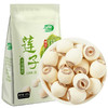 十月稻田 莲子 250g 湘潭去芯磨皮白莲子 干货 桂圆百合银耳羹煲汤食材 商品缩略图0