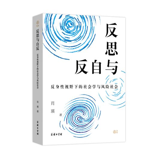 反思与自反：反身性视野下的社会学与风险社会   肖瑛 著   商务印书馆 商品图0