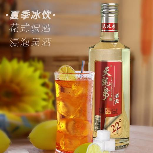 22°天龙泉清爽二代 500ml *6瓶/件 商品图3