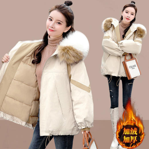 派克女短款大毛领，冬装新款韩版宽松ins袄加厚外套HR-9382567 商品图2