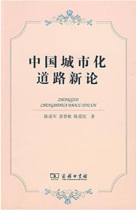 中国城市化道路新论