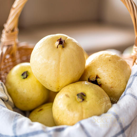 奶油冰淇淋香软芭乐 白心红心番石榴 净重5斤 京东快递 商品图12