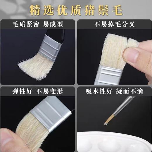 青竹金典黑水粉笔套装美术生专用艺考联考色彩扇形笔10支装绘画排笔油画笔猪鬃画笔 商品图4