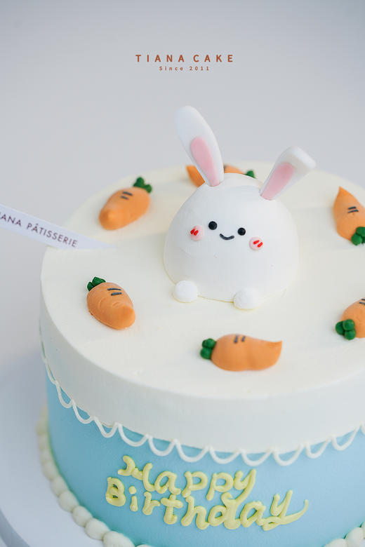 【奶油霜手绘】兔子最爱之胡萝卜 商品图1