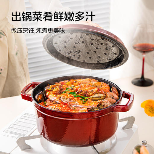 京东京造 铸铁珐琅锅 搪瓷炖锅煲汤锅24CM珊瑚红 商品图1