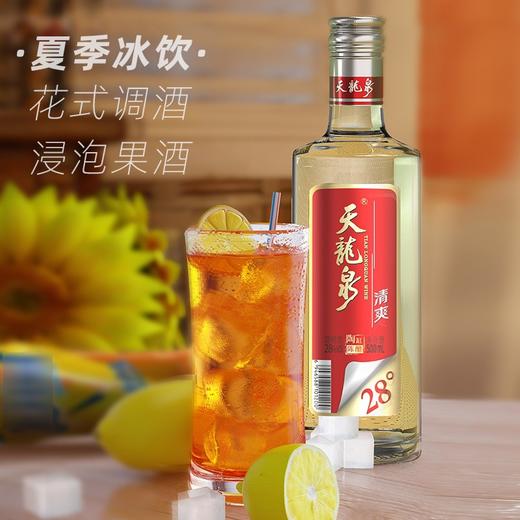 28°天龙泉清爽二代 500ml/瓶 商品图1