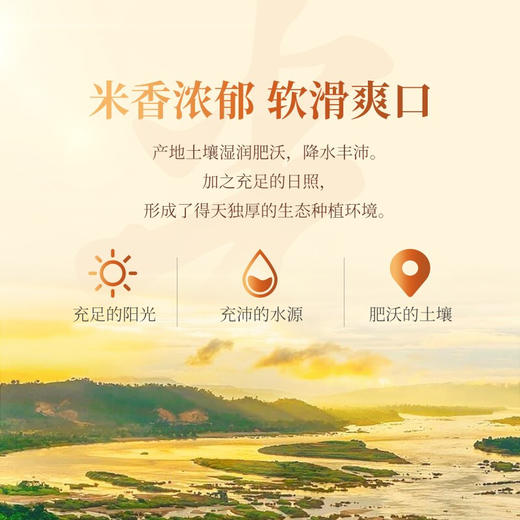 福临门 泰玉香 一品茉莉香米 进口原粮 大米 中粮出品 5kg（包装更新，新老包装随机发放） 商品图4