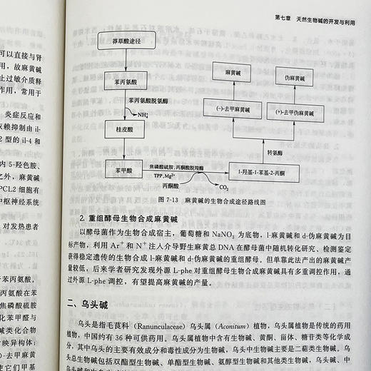 天然生物活性物质 商品图8