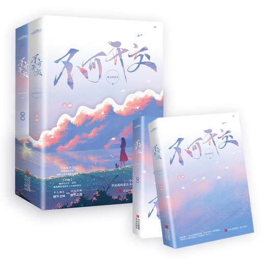不可开交 西方经济学 著 青春文学 商品图3