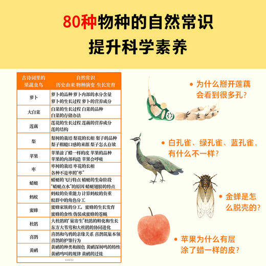【小读客】古诗词里的自然常识（全4册）吃萝卜为什么爱放屁？白鹭为什么排成一行飞？古诗词和自然常识两手抓，孩子综合素养顶呱呱！7岁+  商品图3