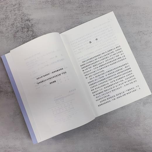 德意志思想评论 第十七、十八卷（欧洲文化丛书） 商品图3