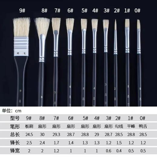 青竹金典黑水粉笔套装美术生专用艺考联考色彩扇形笔10支装绘画排笔油画笔猪鬃画笔 商品图2