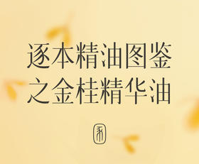 逐本精油图鉴之【金桂精华油】
