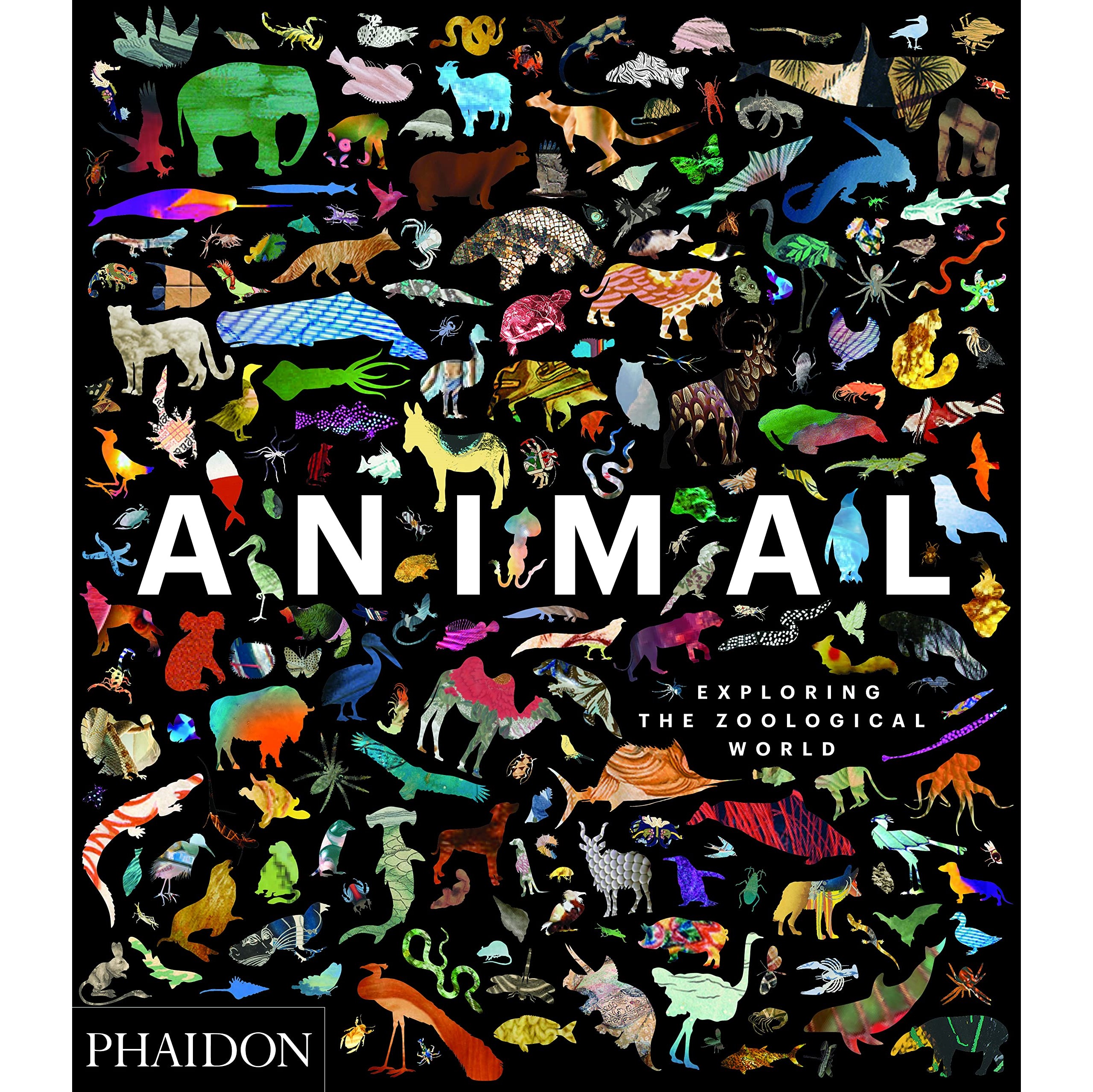 【现货】Animal: Exploring the Zoological World | 动物:探索动物学世界