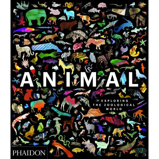 【现货】Animal: Exploring the Zoological World | 动物:探索动物学世界 商品图0