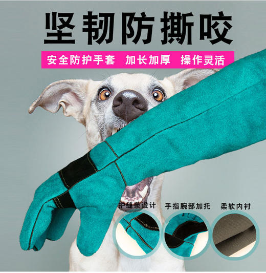 【宠物美容师辅助防护工具】 防水工作服 护目镜 防噪音耳罩 防抓咬手套 商品图3