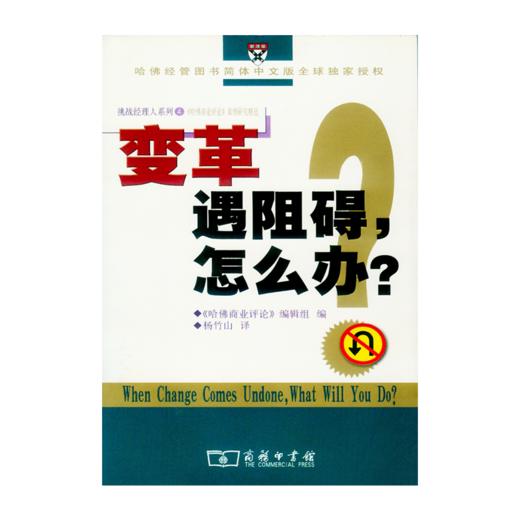 战略遭搁浅,怎么办? 商品图0