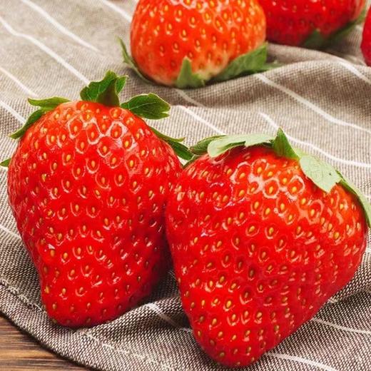 丹东有机草莓自然生长不催熟无农残3斤（净重2.5斤）*2【顺丰包邮】有机认证 商品图2