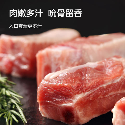 京东京造  黑猪肋排600g 京东跑山猪 冷冻免切黑猪肉排骨猪肋骨猪肋条 商品图0
