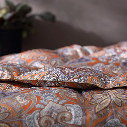 入门款推荐|马特尔湖大白鹅加厚冬被 商品图4