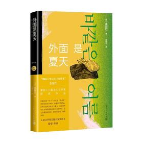 外面是夏天 金爱烂 著 文学