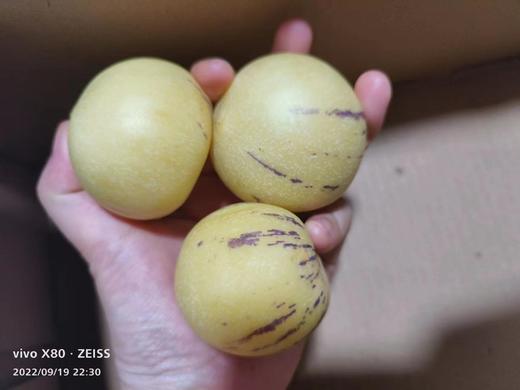 XZG-树上熟人参果 8粒/盒～2盒/份 商品图0