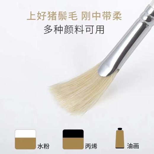 青竹金典黑水粉笔套装美术生专用艺考联考色彩扇形笔10支装绘画排笔油画笔猪鬃画笔 商品图3