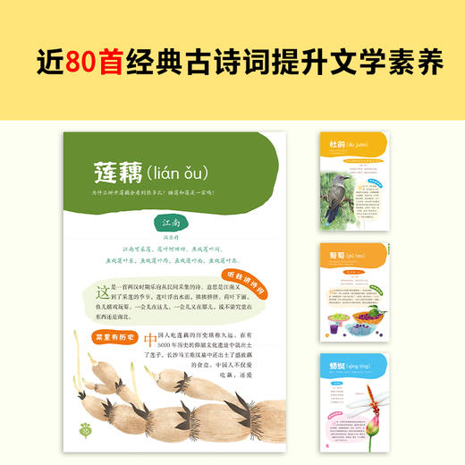 【小读客】古诗词里的自然常识（全4册）吃萝卜为什么爱放屁？白鹭为什么排成一行飞？古诗词和自然常识两手抓，孩子综合素养顶呱呱！7岁+  商品图2