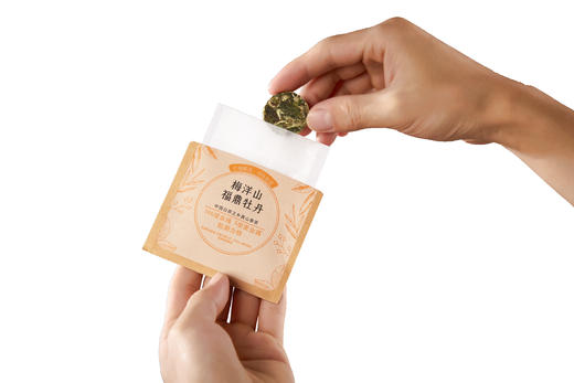 【新品上市】云山茶集梅洋山福鼎一级牡丹王小茶饼30g 商品图5