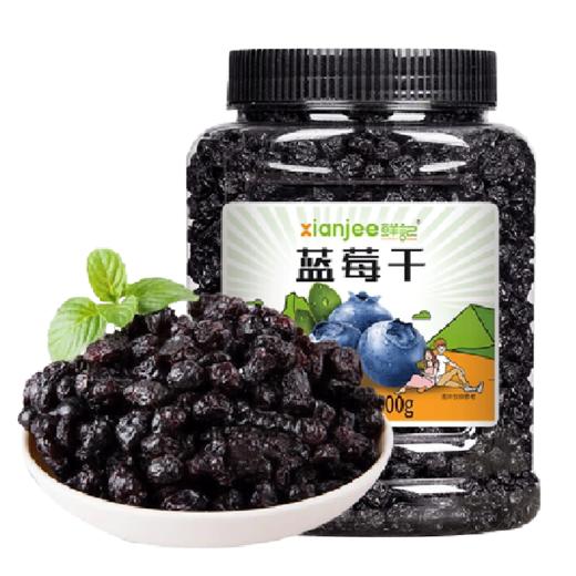 鲜记蓝莓干500g-JJ 商品图0