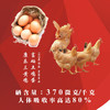 故乡好物 | 恒晖富硒有机果蔬&禽蛋套餐 商品缩略图1