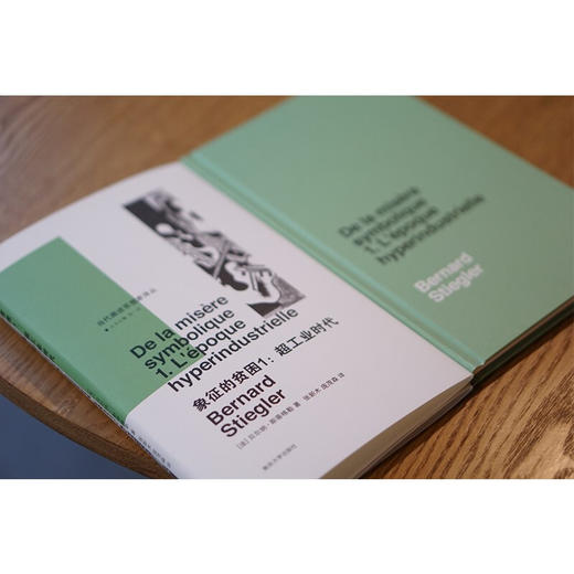 象征的贫困1 贝尔纳·斯蒂格勒 著 文化 商品图3
