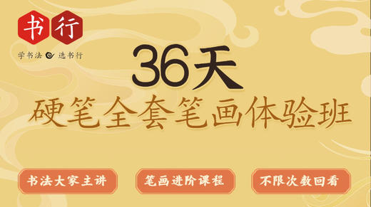 36天硬笔楷书全套笔画体验班 硬笔书法基础入门视频教程（带点评） 商品图0
