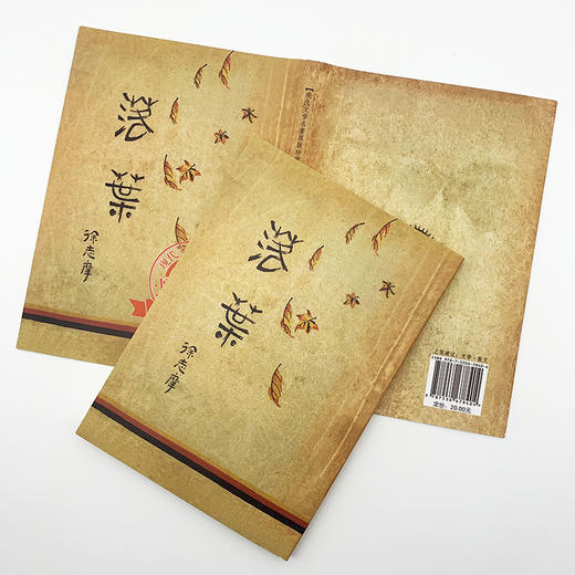 落叶/现代文学名著原版珍藏 商品图0