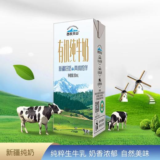 西牧天山新疆有机纯牛奶盒装纯奶整箱儿童学生营养早餐奶200ml*12盒 商品图1