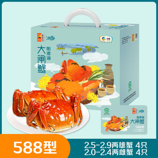 中粮阳澄湖大闸蟹588型 商品图0