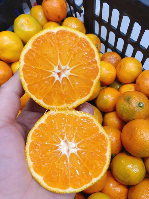 特价桔子4斤（拼团） 商品图1