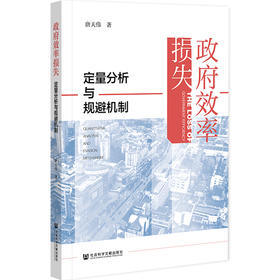 政府效率损失(定量分析与规避机制)