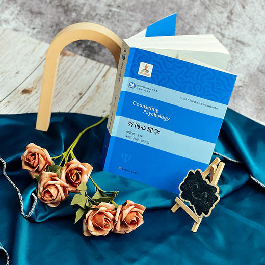 咨询心理学 心理学 当代中国心理科学文库 十三五国家重点出版物出版规划项目 咨询心理学入门图书 商品图4