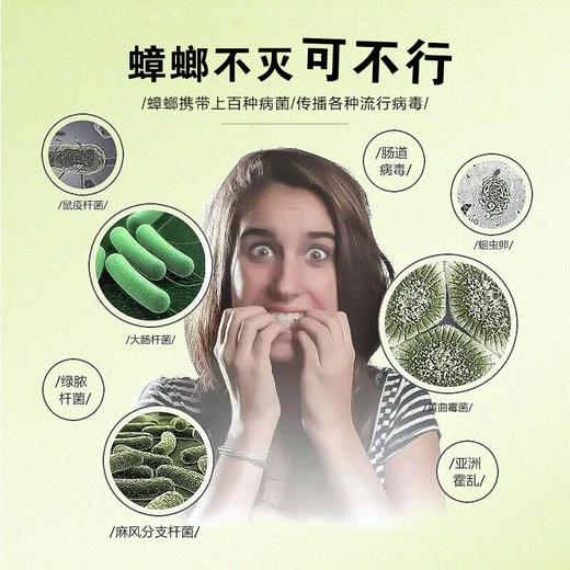 清扬 杀虫剂 无味喷雾杀虫水蟑螂药除螨灭蚊子飞虫苍蝇药除虫剂 驱蚊杀虫气雾剂 600ml 商品图4