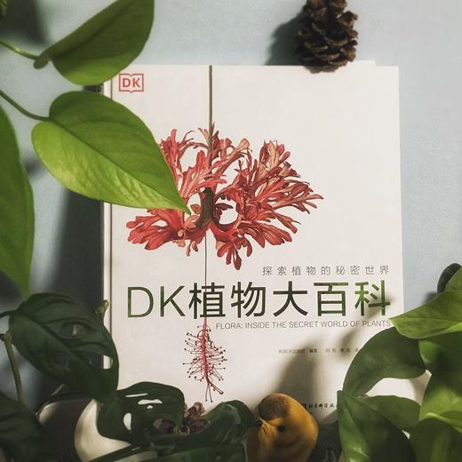 DK植物大百科 英国DK出版社 著 生物世界 科普读物 商品图1