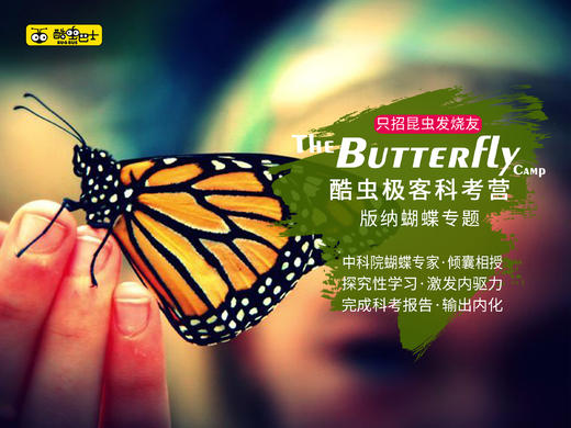 高端C营！国内罕有 研究蝴蝶 专家带领做课题，7天6夜搞透蝴蝶这事儿 商品图0