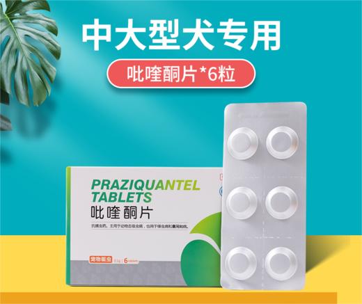 【39.9元任选4件】阿苯达唑0.1g*6片｜新宠之康 商品图1