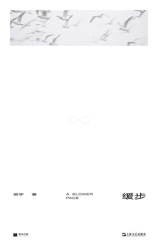 《缓步》（单读书系）班宇著 商品图1