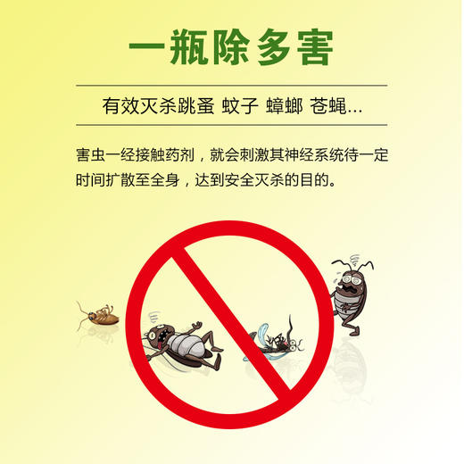 清扬 杀虫剂 无味喷雾杀虫水蟑螂药除螨灭蚊子飞虫苍蝇药除虫剂 驱蚊杀虫气雾剂 600ml 商品图6
